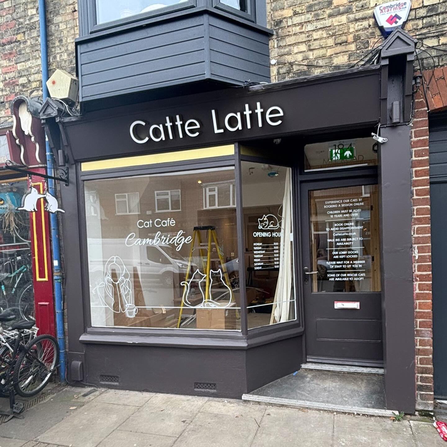 Catté Latte London and the UK cafe storefront signage with custom illuminated projecting sign and vinyl graphics